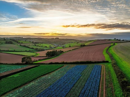 Fields and Farms at evening sun from a drone, Shaldon, Torquay, Devon, England, United Kingdom