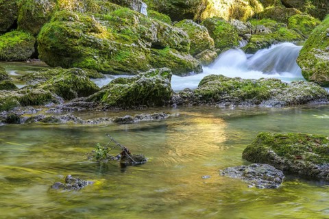 Erlauf Gorge, Purgstall an der Erlauf, Lower Austria, Austria