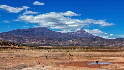 Dry desert landscape with mountains in the background and scattered grass, The landscape of the