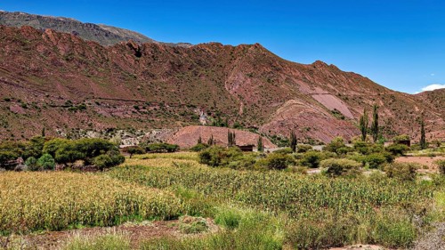 Cultivated fields in a hilly, mountainous landscape under a blue sky, The landscape of the