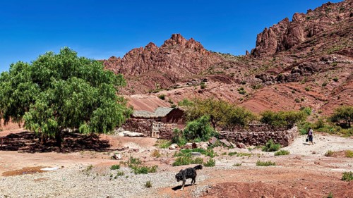 Stone houses in a hilly landscape with a tree and a dog in the foreground, The landscape of the