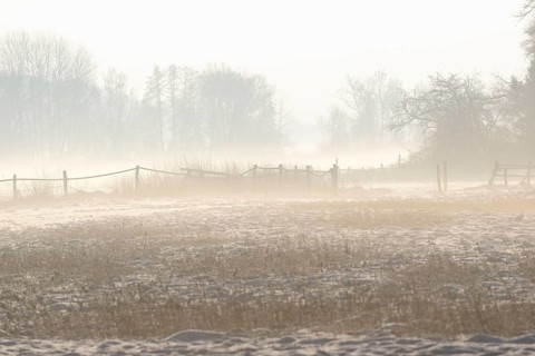 Winterlandschaft, aufsteigender Bodennebel im Licht der Morgensonne, Nordrhein-Westfalen,