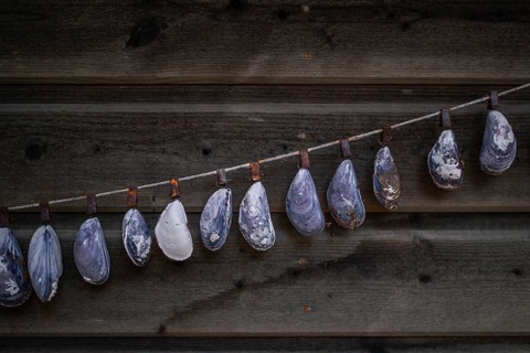 Shell necklace on a wooden wall, Resö Island, Bohuslän, Skagerrak, Sotenäs, Västra Götalands län,