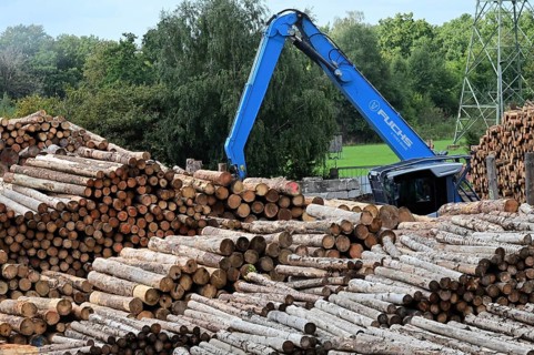 Wood storage and mechanical log transport on the premises of Energie-Mann in the Westerwald. Wood