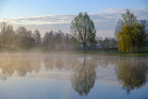 Morning atmosphere, fog at the Fischhof, Tirschenreuth, Upper Palatinate, Bavaria, Germany