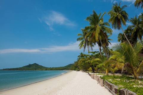 White sandy beach and coconut palms, Pearl Beach, Koh Mook, Trang Province, Southern Thailand,