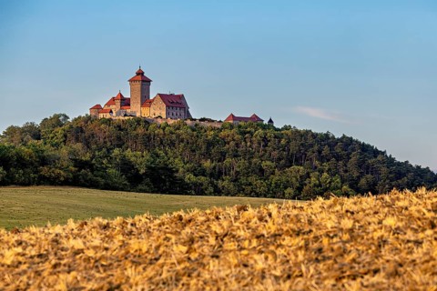 Castle on a wooded hill above a golden field under a clear sky, The Wachsenburg in Thuringia near