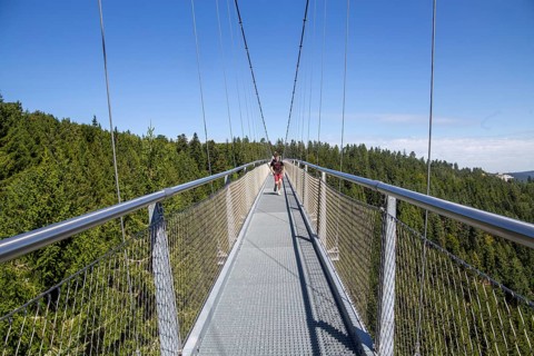 Wildline Bad Wildbad: The pedestrian suspension bridge is 380 metres long and 60 metres high. It