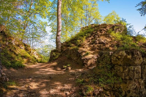 Ruin of Alter Lichtenstein near Lichtenstein Castle, eaves of the Swabian Alb, trees, deciduous