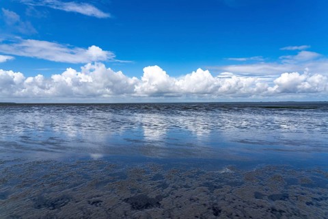 Wadden Sea between the Dutch coast near Eemshaven and the German North Sea island of Borkum, Wadden