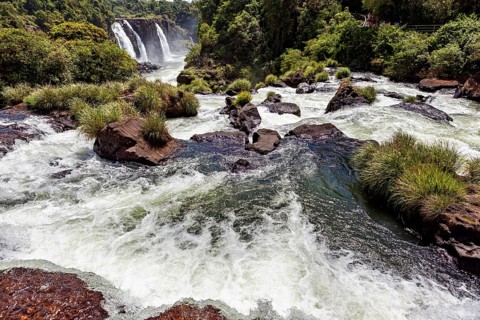 White water between rocks and plants with a distant waterfall in the background, The Iguazu Falls
