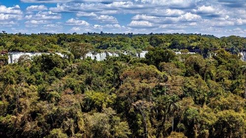 A densely forested horizon under a cloud-covered sky, The Iguazu Falls between Argentina and Brazil