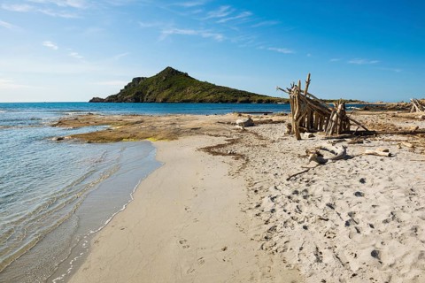 Wild beach, Sentier du littoral, Plage Ranc, Cap Taillat, Saint Tropez, Var, French Riviera,