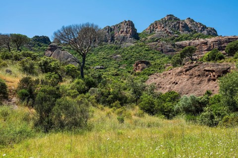 Rocher du roquebrune, Roquebrune-sur-Argens, near Saint-Raphaël, Massif de l'Esterel, Esterel