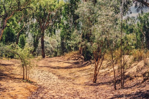 Outback Scenes Australia
