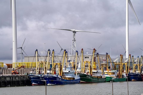 Fishing boats in Beatrixhaven, the seaport of Eemshaven, industrial harbour, at the quay,