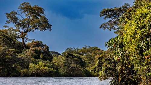 Waves on the river with dense forest while the sky is covered with clouds, The Iguazu River between