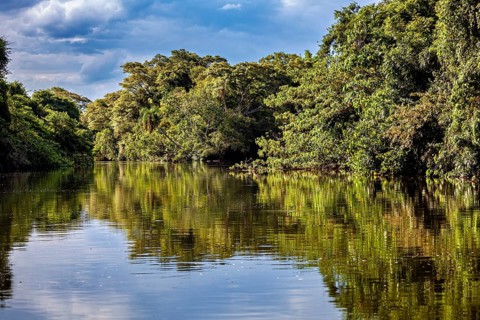 River landscape with dense forest and reflecting water under a cloudy sky, The Iguazu River between