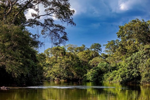 Clear waters of the river meander through dense trees under a calm sky, The Iguazu River between