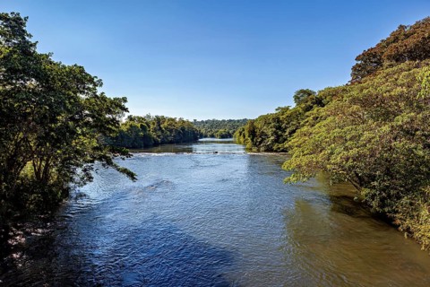 A calm river flows through a forested landscape under a clear blue sky, The Iguazu River between