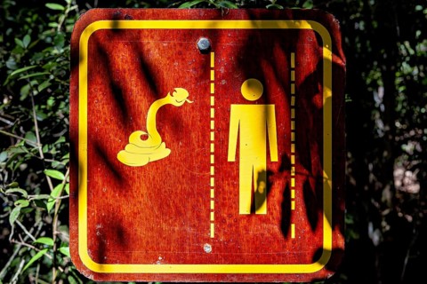 Warning sign in the forest with symbols of a snake and a human figure, An Orion Cecropian butterfly