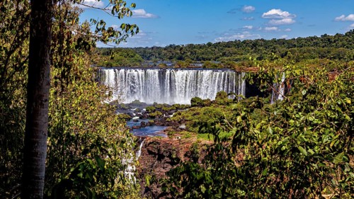 Large waterfall in the distance, framed by dense foliage and clear skies, The Iguazu Falls between