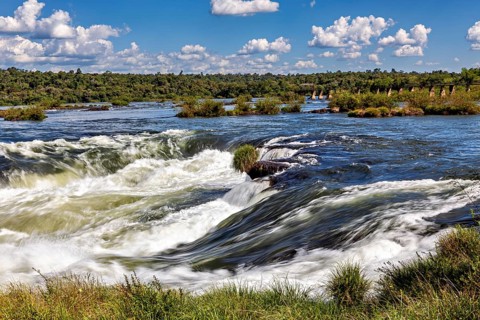 Powerful waterfall riverbed with surrounding trees and blue sky, The Iguazu River between Argentina
