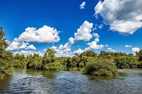 Calm river with lush trees and white clouds in a bright blue sky, The Iguazu River between