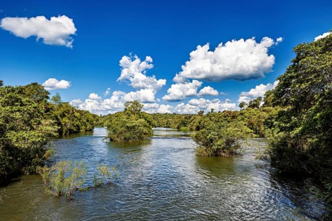 Wide river with dense treetops and cloud formations in the blue sky, the Iguazu River between