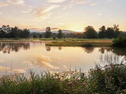 Morning atmosphere at a pond in the Schoren nature reserve, Mühlau, Freiamt, Canton Aargau,