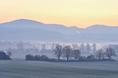 Meadows and trees in the early morning mist in the light of dawn, Reusstal, Aristau, Freiamt,