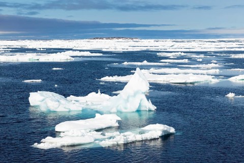Drift ice, sea ice, sea, mountain range, Faksevagen, Spitsbergen, Svalbard