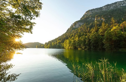Sunrise in summer at Lake Thumsee near Bad Reichenhall