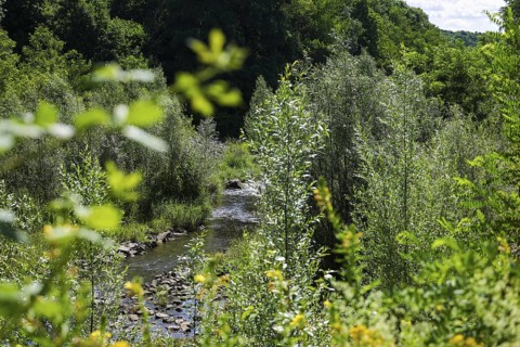 Bottrop, North Rhine-Westphalia, Germany - Renaturalised Boye, the tributary of the Emscher, was