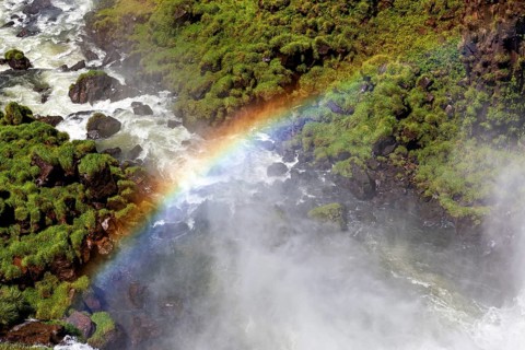 Colourful rainbow over a waterfall surrounded by lush greenery, The Iguazu Falls between Argentina