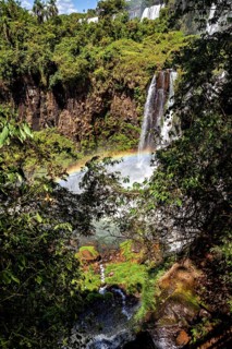 View through dense vegetation to a waterfall with a rainbow in the sunlight, The Iguazu Falls