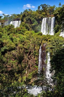 Several waterfalls flow through dense green forest under a bright blue sky, The Iguazu Falls