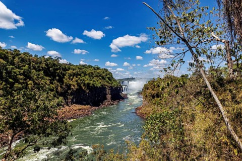 River and waterfall with surrounding lush greenery, The Iguazu Falls between Argentina and Brazil