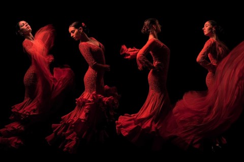Collage of flamenco dancers. Passionate spanish music, AI generated