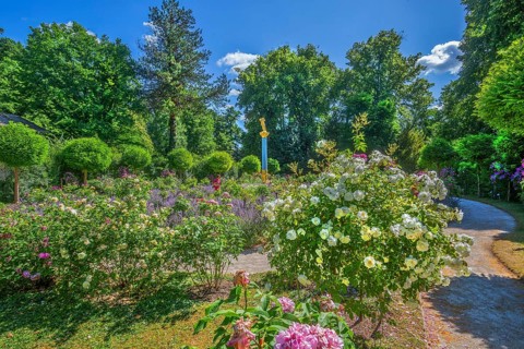 Rosarium with blooming roses and lavender on the Rose Island in Lake Starnberg, Feldafing, Upper