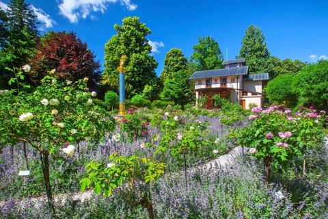 Rosarium with blooming roses in front of the Pompeian-Bavarian Casino on the Rose Island in Lake