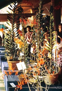 People attending flower show at the Singapore Turf Club, The 4th World Orchid Conference,