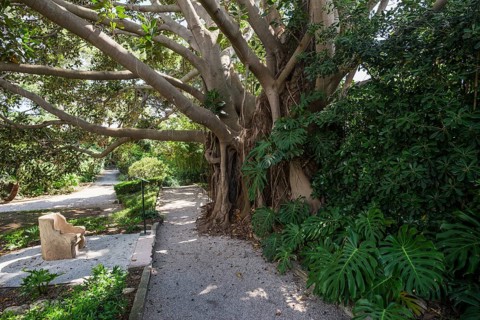 Park, Villa Ephrussi de Rothschild, Saint-Jean-Cap-Ferrat, Cap Ferrat, Alpes Maritimes, Provence