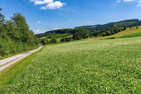 Landscape along the Sauerlandring cycle path, an 84 km long circular cycle path between the towns