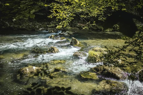 Mangfall near Bruckmühl, district of Miesbach, Upper Bavaria, Bavaria, Germany
