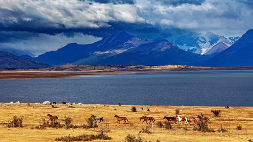 Horses grazing in vast steppes against a picturesque mountain backdrop and cloudy sky, A gaucho