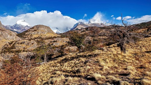 Mountain landscape with dry trees and grasses under a partly cloudy sky, The landscape of Patagonia