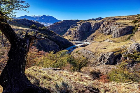 Deep gorge with a river surrounded by steep cliffs and solitary trees, the Patagonian landscape