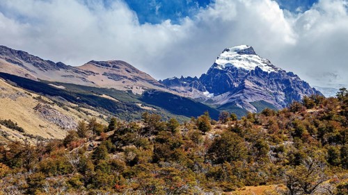 Snow-covered mountain above lush forest under a blue sky, The landscape of Patagonia in Argentina