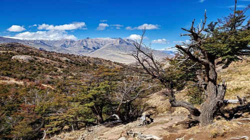 Vast mountain landscape with trees and clear blue sky, The landscape of Patagonia in Argentina